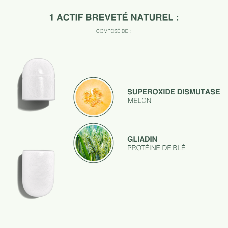 GLISODIN V-SOD – Image 4